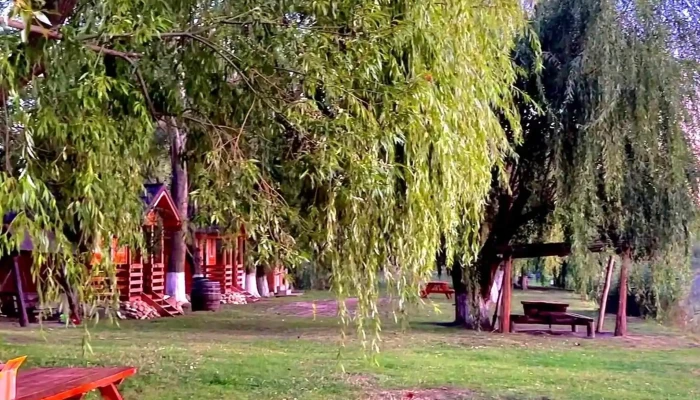 Balta Nana -  Număr - Dj402