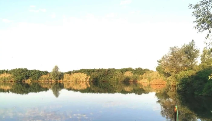 Balta Noua Buturugeni -  Zonă - Buturugeni