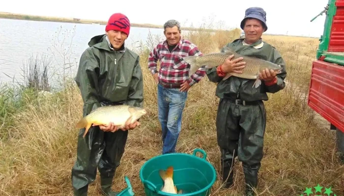 Balta Nănești - Nănești