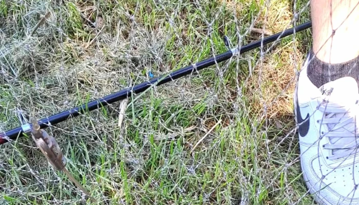 Balta Palatului Caciulati -  Adresă - Sat Caciulati, Com Moara Vlasiei Judet Ilfov Caciulati