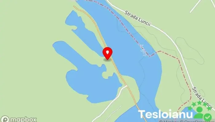 hartă a Balta Pandele Buturugeni Lac de pescuit în Buturugeni