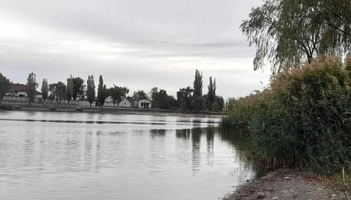Balta Salciile   Balta Intre Sate Locație - Sălciile