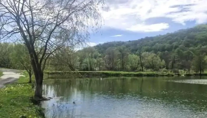 Balta Teregova - Teregova