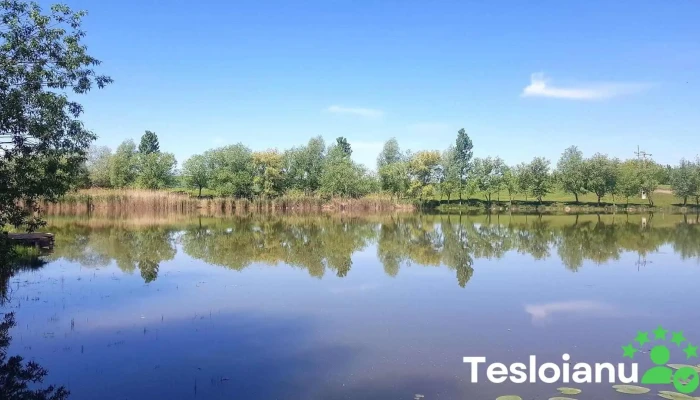 Balta Teslui - Romania