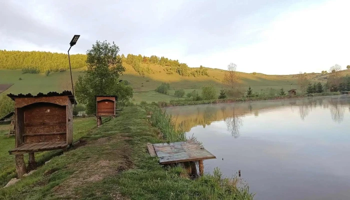 Balta Valea Mare Reduceri - Valea Mare