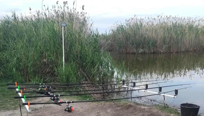 Balta Zebil -  Prețuri - Romania