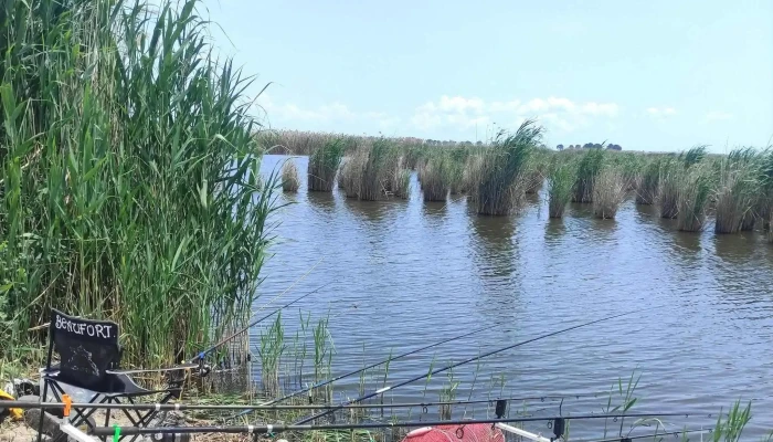 Balta Zebil -  Scor - Romania