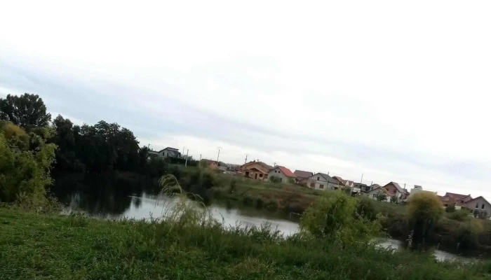 Balta Zimandul Nou -  Prețuri - Zimandu Nou