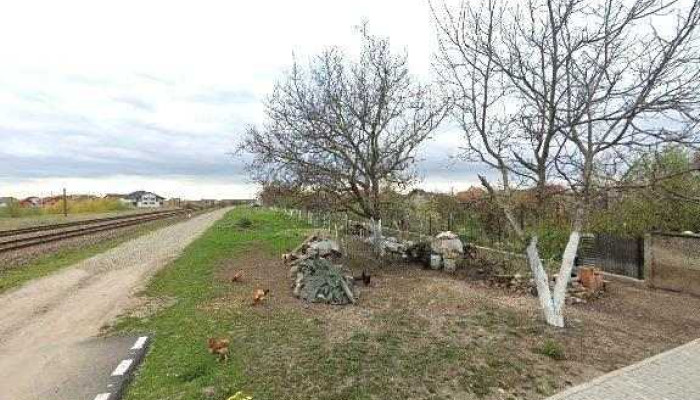 Balta Zimandul Nou -  Street View Si 360deg - Zimandu Nou
