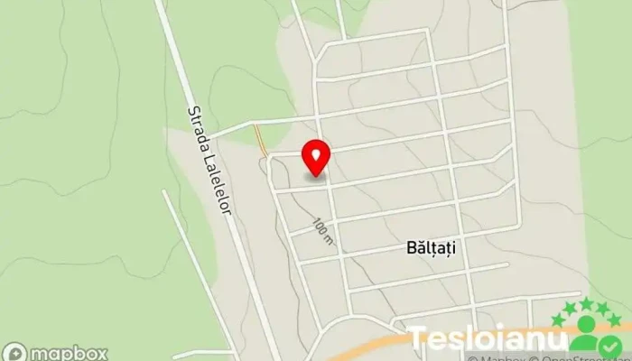 hartă a Bălțați  în Bălțați