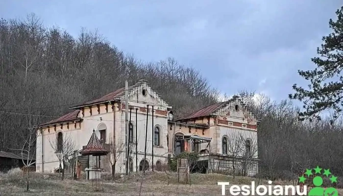 Balteni Recenzii - Bâlteni
