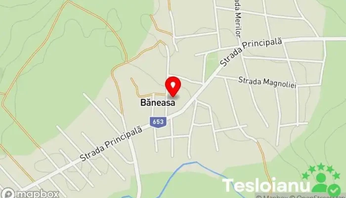 hartă a Băneasa  în Băneasa