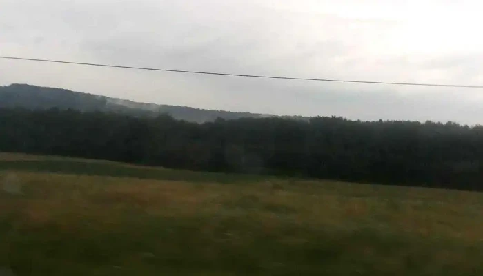 Baranca -  Prețuri - Baranca