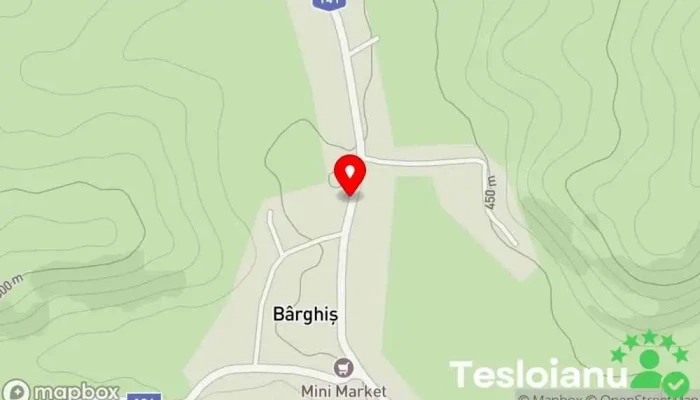 hartă a Bârghiş  în Bârghiş