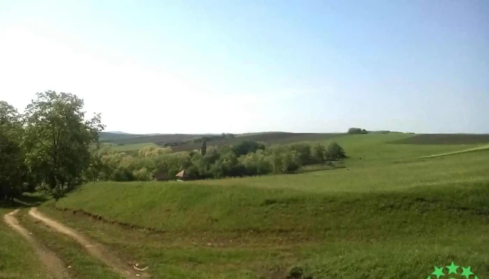 Bârlibaș - Bârlibaș