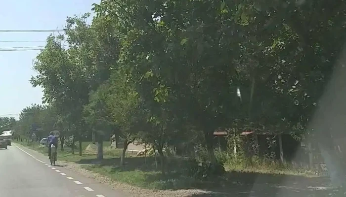 Barsanesti Videoclipuri - Bârsănești