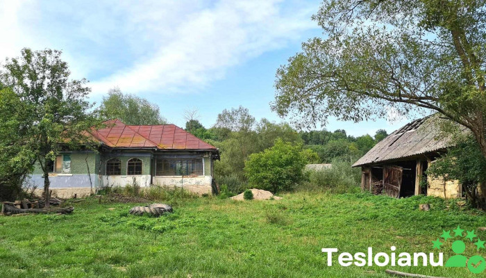Barsauta Promoție - Bârsăuţa