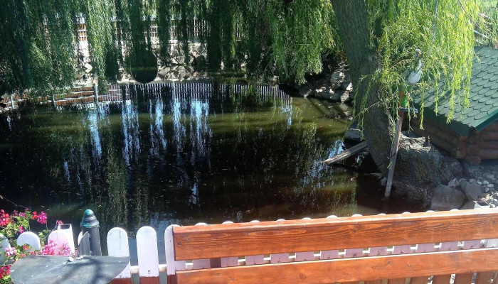 Barza La Cocostarc   Dumbraveni Instagram - Romania