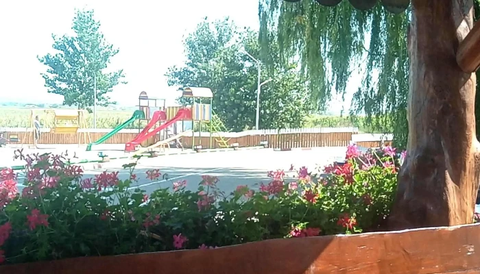 Barza La Cocostarc   Dumbraveni Romania - Romania
