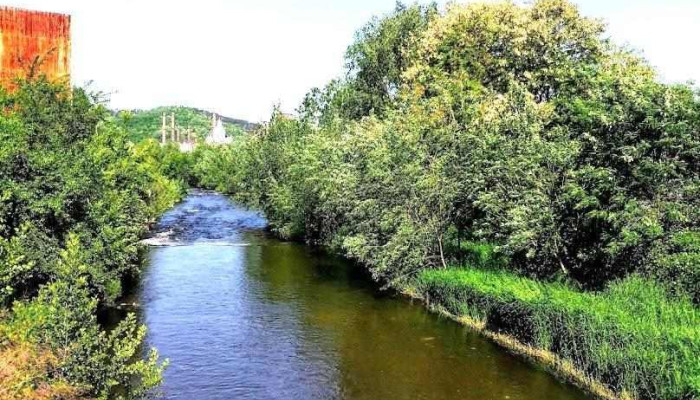 Bârzava - Bârzava