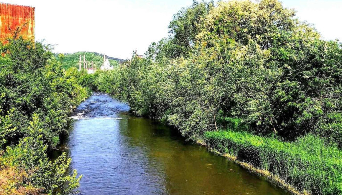 Barzava Scor - Bârzava