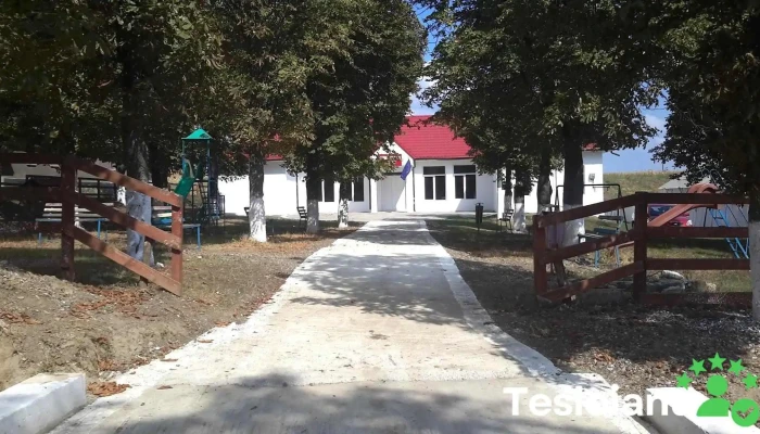 Barzesti Reduceri - Bârzești
