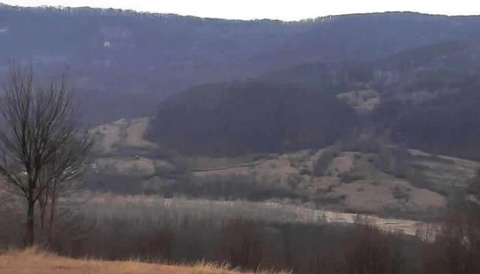 Bascenii De Sus Zonă - Bâscenii De Sus