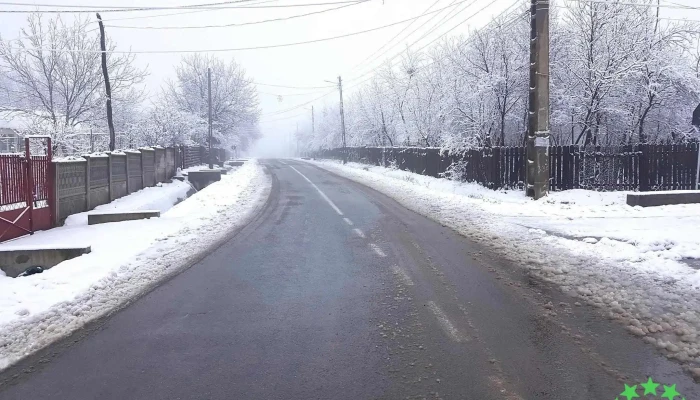 Bascoveni Cum Să Ajungi Acolo - Bâscoveni