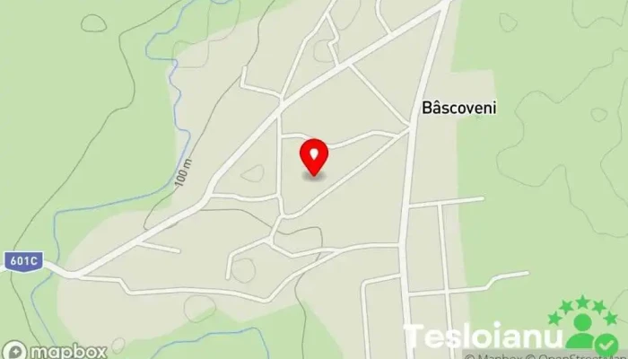 hartă a Bâscoveni  în Bâscoveni