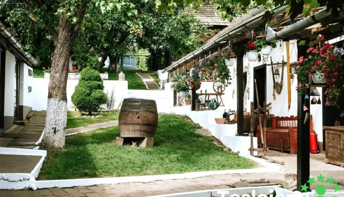 Bassen Pension -  Cele Mai Recente - Bazna