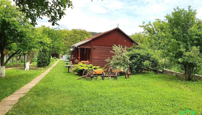 Bassen Pension -  De La Vizitatori - Bazna