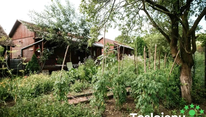 Bassen Pension -  Exterior - Bazna