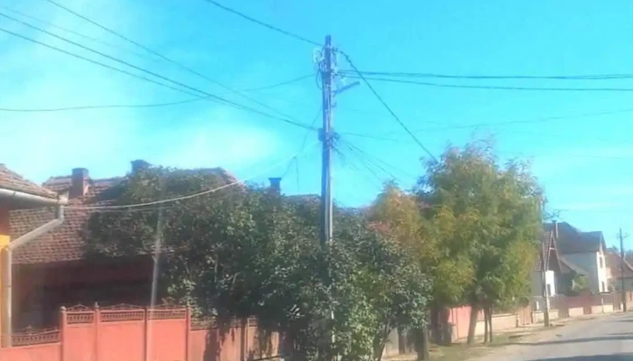 Batanii Mari Videoclipuri - Bățanii Mari