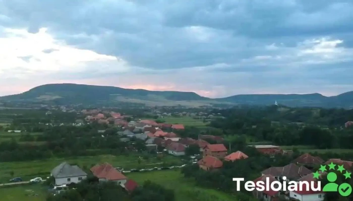 Batarci Videoclipuri - Bătarci