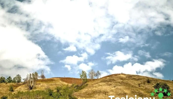 Bautar Munte - Băuțar