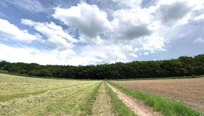 Beica De Jos -  Street View Si 360deg - Beica De Jos