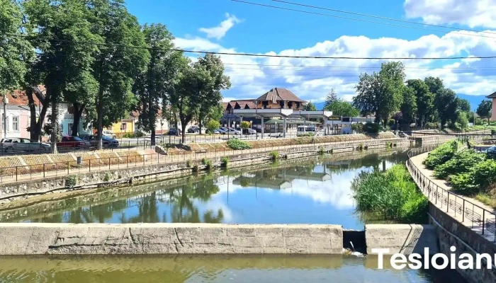 Beius Catalog - Beiuș