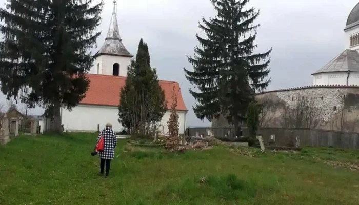 Belin -  Videoclipuri - Belin