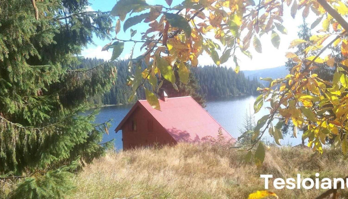 Beliș - Beliș
