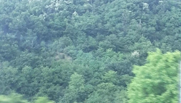 Benesat -  Munte - Benesat