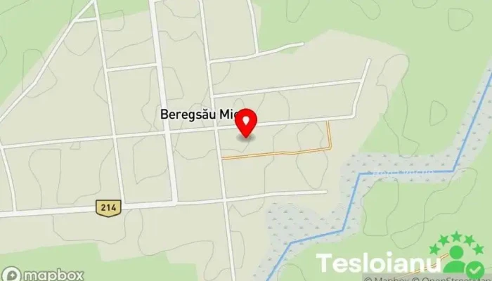hartă a Beregsău Mic  în Beregsău Mic