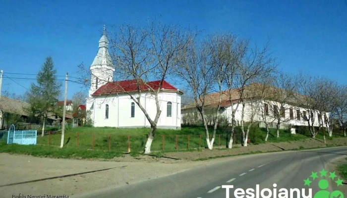 Berghia -  Site Web - Berghia