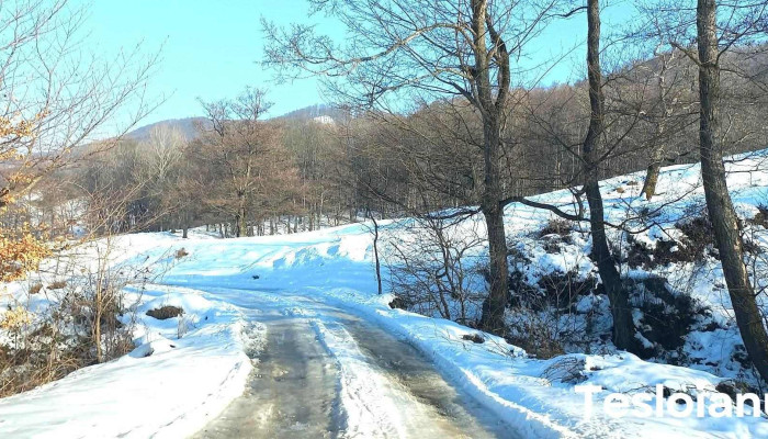 Berislavesti Munte - Berislăvești