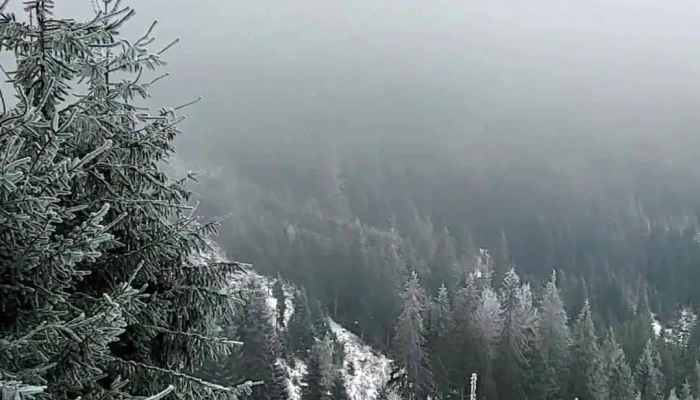 Bicaz -  Videoclipuri - Bicaz