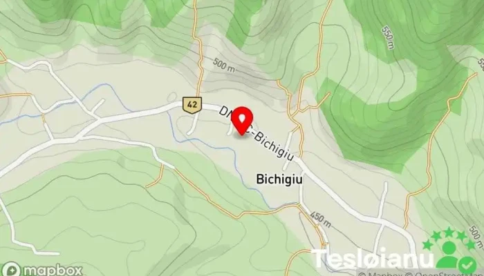 hartă a Bichigiu  în Bichigiu