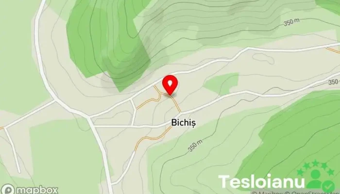 hartă a Bichiş  în Bichiş
