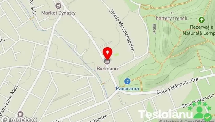 hartă a Bielmann Hotel în Sânpetru