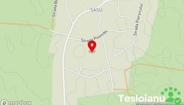 hartă a Biliesti  în Biliesti