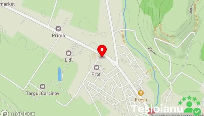 hartă a Biroul de Cadastru și Publicitate Imobiliară Topoloveni Servicii ale administrației locale în Topoloveni
