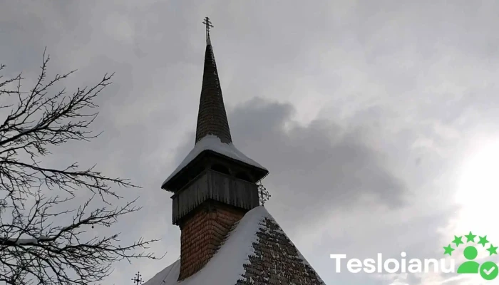 Biserica Intrarea Maicii Domnului In Biserica Din Barsana Videoclipuri - Bârsana